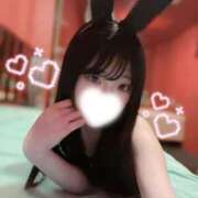 ヒメ日記 2026/02/18 10:31 投稿 ツナ バニーコレクション新潟店