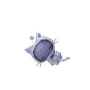 ヒメ日記 2026/03/06 14:30 投稿 ツナ バニーコレクション新潟店