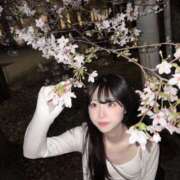 ヒメ日記 2026/04/15 08:01 投稿 ツナ バニーコレクション新潟店