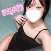 ヒメ日記 2026/04/16 12:32 投稿 ツナ バニーコレクション新潟店