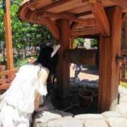 ヒメ日記 2026/05/25 16:26 投稿 ツナ バニーコレクション新潟店
