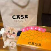 ひめか【重力無視のG乳】 2/28本指名Tさん お礼日記💌 STELLA TOKYO－ステラトウキョウ－