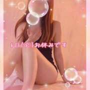 ヒメ日記 2026/10/06 01:29 投稿 白鳥みれい イエスグループ熊本 華女