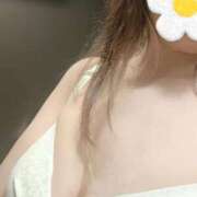 ヒメ日記 2026/01/24 11:59 投稿 こむぎ 水戸人妻花壇