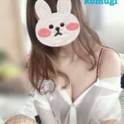 こむぎ こむぎです☆本日出勤します！ 水戸人妻花壇