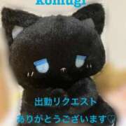 ヒメ日記 2026/02/24 08:54 投稿 こむぎ 水戸人妻花壇