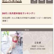 こむぎ ランカー入りしました✨ 水戸人妻花壇