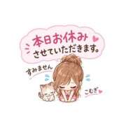 ヒメ日記 2026/10/19 07:51 投稿 こむぎ 水戸人妻花壇