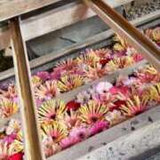 ヒメ日記 2026/01/27 12:30 投稿 まき 素人妻達☆マイふぇらレディー