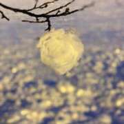 ちかげ ホテルシャーウッドのS様へ🎶 鶯谷スピン