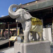 ヒメ日記 2026/02/15 20:00 投稿 つむぎ 性腺熟女100％本店（デリヘル市場）