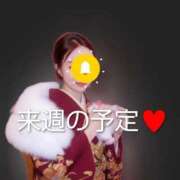 ヒメ日記 2026/02/19 20:08 投稿 えれな 東京妻