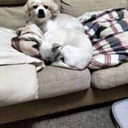 ヒメ日記 2026/02/02 21:30 投稿 野間ゆうひ 社外秘 松戸支店