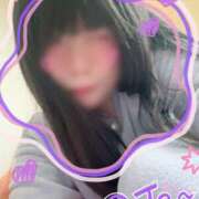 ヒメ日記 2026/02/11 10:10 投稿 野間ゆうひ 社外秘 松戸支店