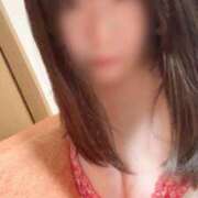 ヒメ日記 2026/02/12 18:35 投稿 野間ゆうひ 社外秘 松戸支店