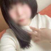 ヒメ日記 2026/02/28 10:40 投稿 野間ゆうひ 社外秘 松戸支店