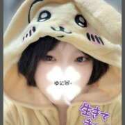 ヒメ日記 2026/01/29 19:04 投稿 ゆに★(低身長女王様) ぽっちゃり女神 あぷろでぃーて