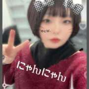 ヒメ日記 2026/02/08 12:31 投稿 ゆに★(低身長女王様) ぽっちゃり女神 あぷろでぃーて