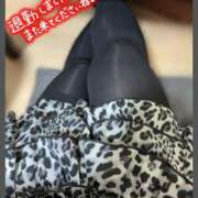 ヒメ日記 2026/02/16 03:28 投稿 ゆに★(低身長女王様) ぽっちゃり女神 あぷろでぃーて