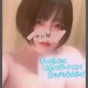 ヒメ日記 2026/03/01 07:57 投稿 ゆに★(低身長女王様) ぽっちゃり女神 あぷろでぃーて