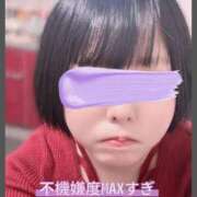 ヒメ日記 2026/04/06 11:30 投稿 ゆに★(低身長女王様) ぽっちゃり女神 あぷろでぃーて