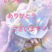和久井 陽向 ✨和久井です✨ CASA BIANCA（カーサ・ビアンカ）