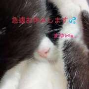 ヒメ日記 2026/02/06 14:59 投稿 まゆ★(おっとりM) ぽっちゃり女神 あぷろでぃーて