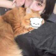 ☆いくらちゃん☆ 【お礼写メ日記】ネコ友🐱 Kiseki