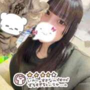 ヒメ日記 2026/03/29 16:43 投稿 ☆いくらちゃん☆ Kiseki