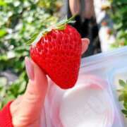 ヒメ日記 2026/02/03 02:38 投稿 上原あや 恋する妻たち