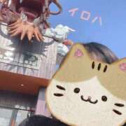 ヒメ日記 2026/01/31 12:16 投稿 イロハ COCOMERO（ココメロ）