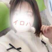 ヒメ日記 2026/02/02 12:16 投稿 イロハ COCOMERO（ココメロ）