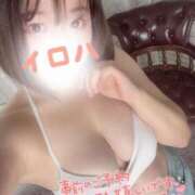 ヒメ日記 2026/02/03 01:16 投稿 イロハ COCOMERO（ココメロ）