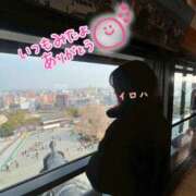 ヒメ日記 2026/02/05 11:31 投稿 イロハ COCOMERO（ココメロ）