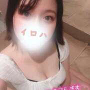 ヒメ日記 2026/02/05 19:46 投稿 イロハ COCOMERO（ココメロ）