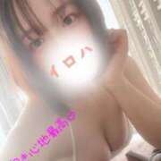 ヒメ日記 2026/02/06 01:46 投稿 イロハ COCOMERO（ココメロ）