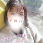 ヒメ日記 2026/02/06 02:16 投稿 イロハ COCOMERO（ココメロ）