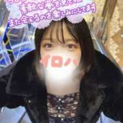 ヒメ日記 2026/03/08 01:31 投稿 イロハ COCOMERO（ココメロ）