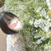 ヒメ日記 2026/04/07 11:16 投稿 イロハ COCOMERO（ココメロ）