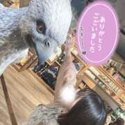 ヒメ日記 2026/04/08 13:46 投稿 イロハ COCOMERO（ココメロ）