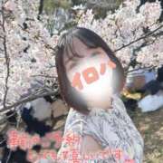 ヒメ日記 2026/04/16 13:01 投稿 イロハ COCOMERO（ココメロ）