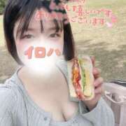 ヒメ日記 2026/04/18 12:16 投稿 イロハ COCOMERO（ココメロ）