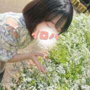 ヒメ日記 2026/04/28 05:46 投稿 イロハ COCOMERO（ココメロ）