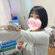 ヒメ日記 2026/05/28 06:16 投稿 イロハ COCOMERO（ココメロ）