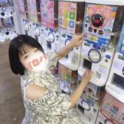 ヒメ日記 2026/05/29 12:16 投稿 イロハ COCOMERO（ココメロ）