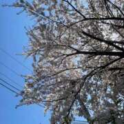 ヒメ日記 2026/04/27 23:59 投稿 みお 恋愛生欲情の扉