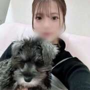 ともえ かわいいこちゃん🐶⸒⸒♡ 女の子がセルフで撮影する店！！成田デリヘル『生パネル』伝説