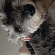 ヒメ日記 2026/02/25 21:21 投稿 ともえ 女の子がセルフで撮影する店！！成田デリヘル『生パネル』伝説