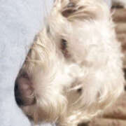 ヒメ日記 2026/02/27 16:12 投稿 ともえ 女の子がセルフで撮影する店！！成田デリヘル『生パネル』伝説