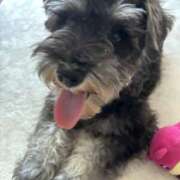 ヒメ日記 2026/03/01 20:51 投稿 ともえ 女の子がセルフで撮影する店！！成田デリヘル『生パネル』伝説